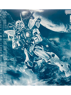 MG PREMIUM BANDAI Gundam Astray Out Frame D