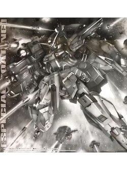 MG PREMIUM BANDAI Gundam Providence Special Coating LIMITED..!!