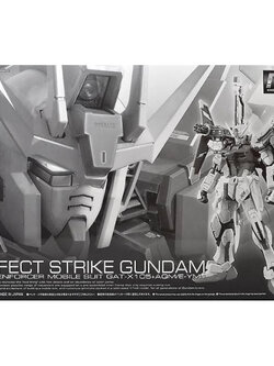 RG PREMIUM BANDAI GAT-X105+AQM/E-YMI Perfect Strike Gundam