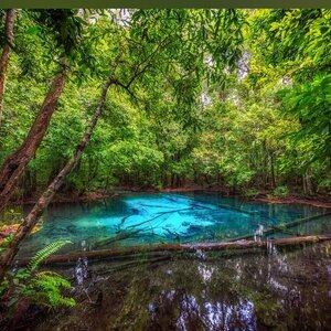 Emerald Pool Krabi: A Natural Wonder You Shouldn't Miss