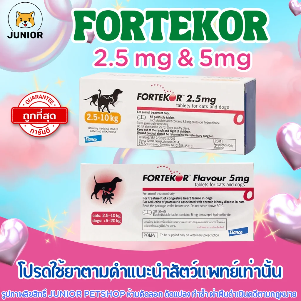 Fortekor Flavour 2.5 & 5 mg.จำนวน 28 เม็ด ยำบำรุงโรคไต ยาบำรุงสุนัข โรคหัวใจ ใช้ได้ทั้งสุนัขและแมว Fortekor Flavour 2.5 & 5 mg.จำนวน 28 เม็ด ยำบำรุงโรคไต ยาบำรุงสุนัข โรคหัวใจ ใช้ได้ทั้งสุนัขและแมว