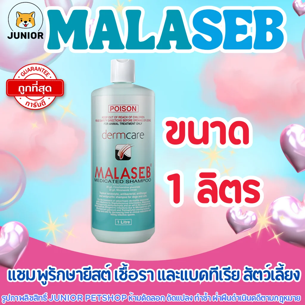 Malaseb (มาลาเซ็บ) แชมพูยารักษายีสต์ เชื้อรา และแบคทีเรียที่ผิวหนัง สำหรับสุนัขและแมว ขนาด 1 ลิตร Malaseb (มาลาเซ็บ) แชมพูยารักษายีสต์ เชื้อรา และแบคทีเรียที่ผิวหนัง สำหรับสุนัขและแมว ขนาด 1 ลิตร