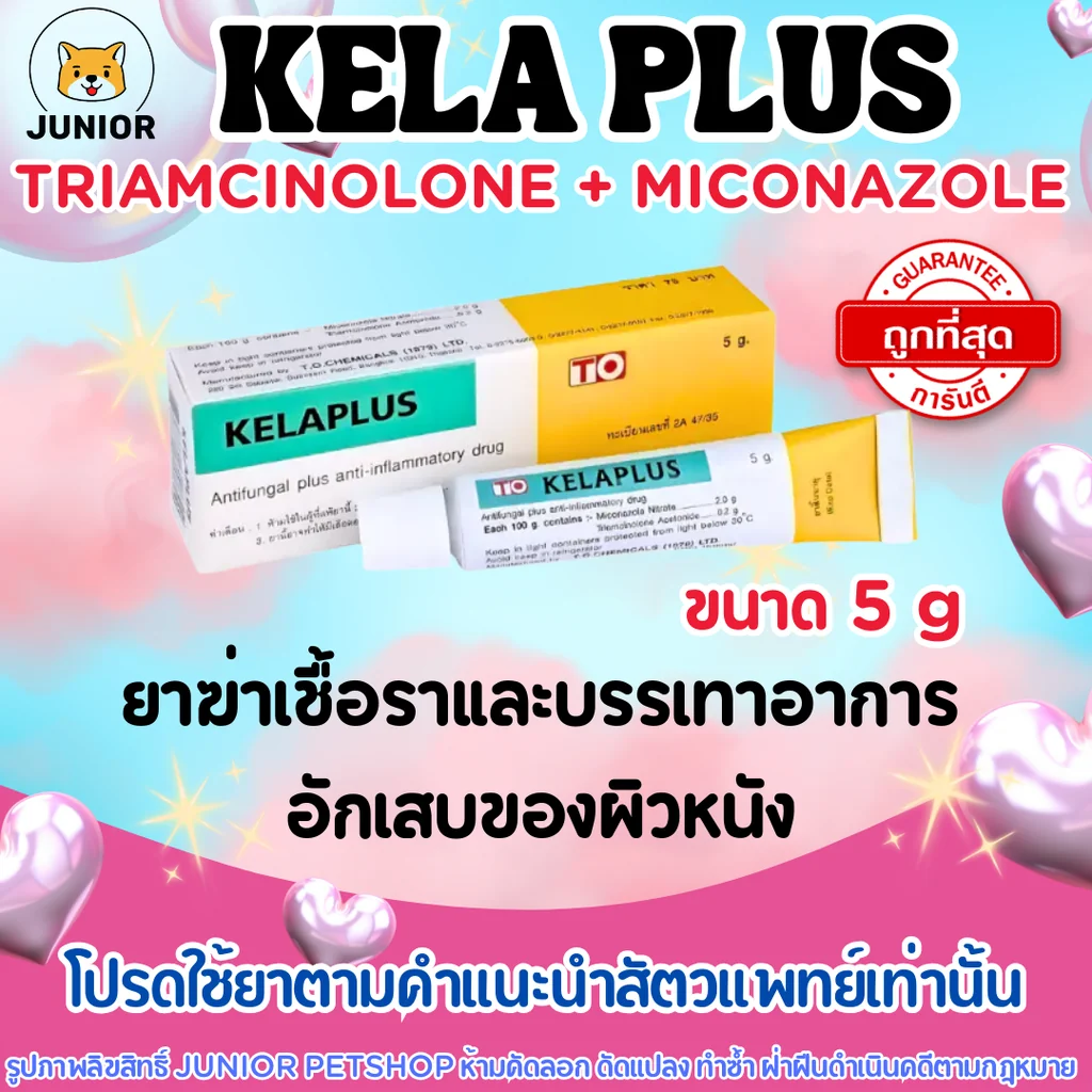คีล่าพลัส 5กรัม Kela plus cream (TO) Triamcinolone+Miconazole ยาฆ่าเชื้อราและบรรเทาอาการอักเสบของผิวหนัง คีล่าพลัส 5กรัม Kela plus cream (TO) Triamcinolone+Miconazole ยาฆ่าเชื้อราและบรรเทาอาการอักเสบของผิวหนัง