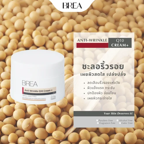 BREA Anti-Wrinkle Q10 Cream+ ครีมบำรุงผิวหน้า Coenzyme Q10 ช่วยลดเลือนริ้วรอย เติมความชุ่มชื้นให้ผิว BREA Anti-Wrinkle Q10 Cream+ ครีมบำรุงผิวหน้า Coenzyme Q10 ช่วยลดเลือนริ้วรอย เติมความชุ่มชื้นให้ผิว