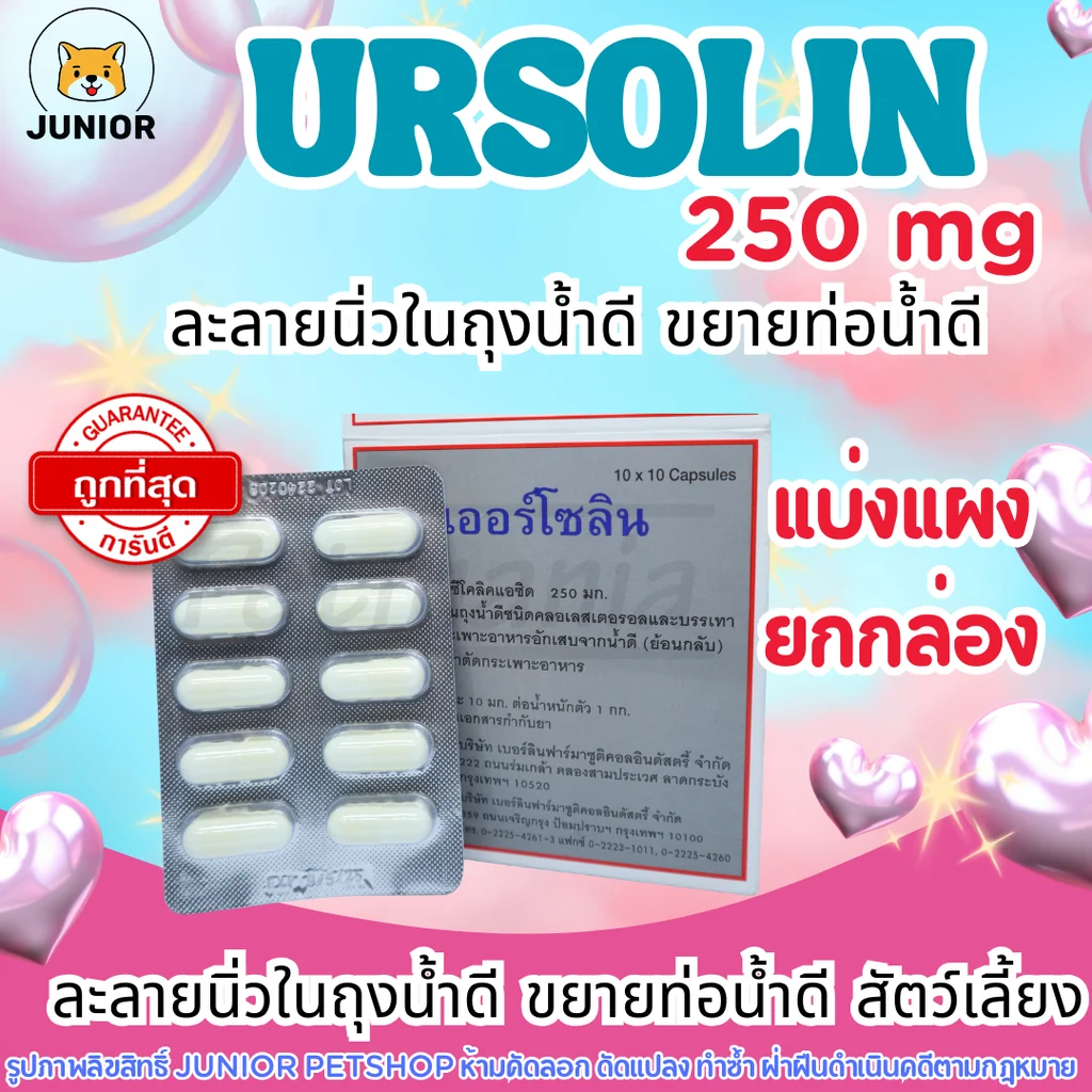 Ursolin เออร์โซลิน250มก. ช่วยขยายท่อน้ำดีสุนัขและแมว ยกกล่อง-แบ่งแผง Ursolin เออร์โซลิน250มก. ช่วยขยายท่อน้ำดีสุนัขและแมว ยกกล่อง-แบ่งแผง