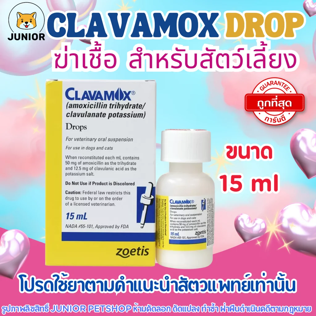 Clavamox drop 15ml. ฆ่าเชื้อ ชนิดผงละลายน้ำสำหรับสุนัขและแมว Clavamox drop 15ml. ฆ่าเชื้อ ชนิดผงละลายน้ำสำหรับสุนัขและแมว