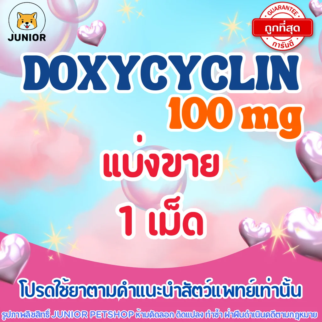 Doxycyclin 100 mg สำหรับสัตว์เลี้ยง แบ่ง 1 เม็ด Doxycyclin 100 mg สำหรับสัตว์เลี้ยง แบ่ง 1 เม็ด