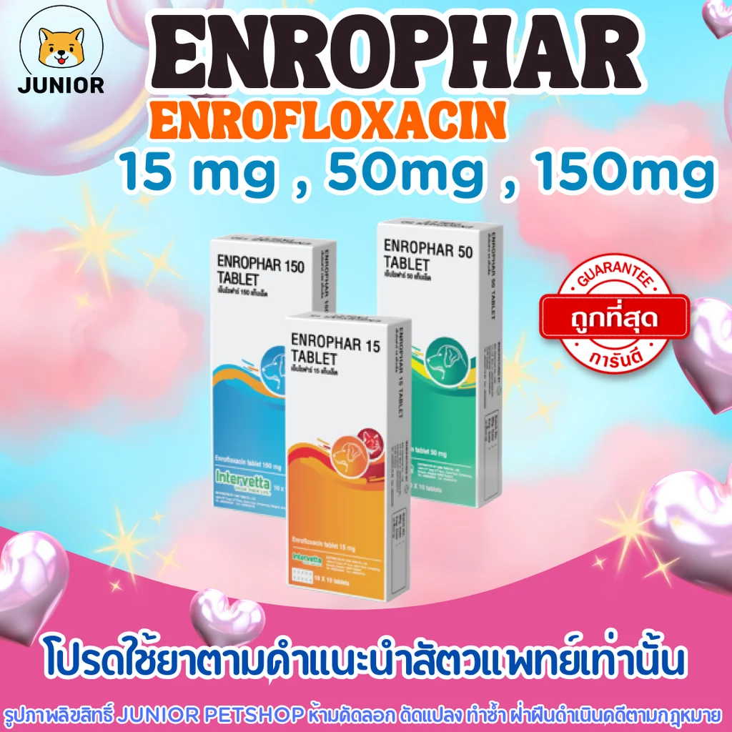 Enrophar (enrofloxacin) 15mg, 50mg, 150mg เอนโรฟาร์ 15มก, 50มก, 150มก ขายยกแผง แผงละ 10 เม็ด Enrophar (enrofloxacin) 15mg, 50mg, 150mg เอนโรฟาร์ 15มก, 50มก, 150มก ขายยกแผง แผงละ 10 เม็ด