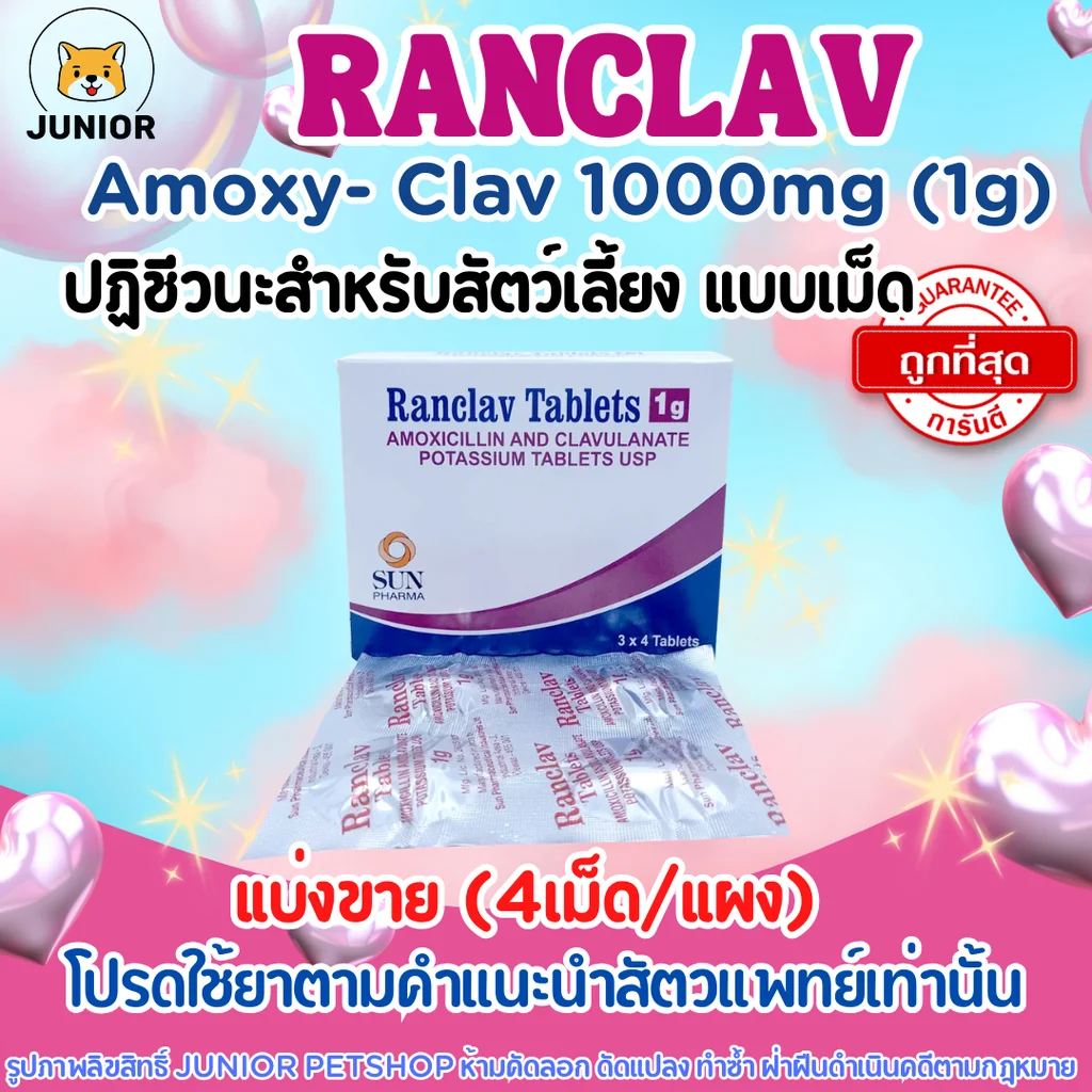Ranclav 1g (Amoxycillin-Clavulanic 1g) สำหรับสัตว์เลี้ยง แบ่งเม็ด-ยกแผง Ranclav 1g (Amoxycillin-Clavulanic 1g) สำหรับสัตว์เลี้ยง แบ่งเม็ด-ยกแผง