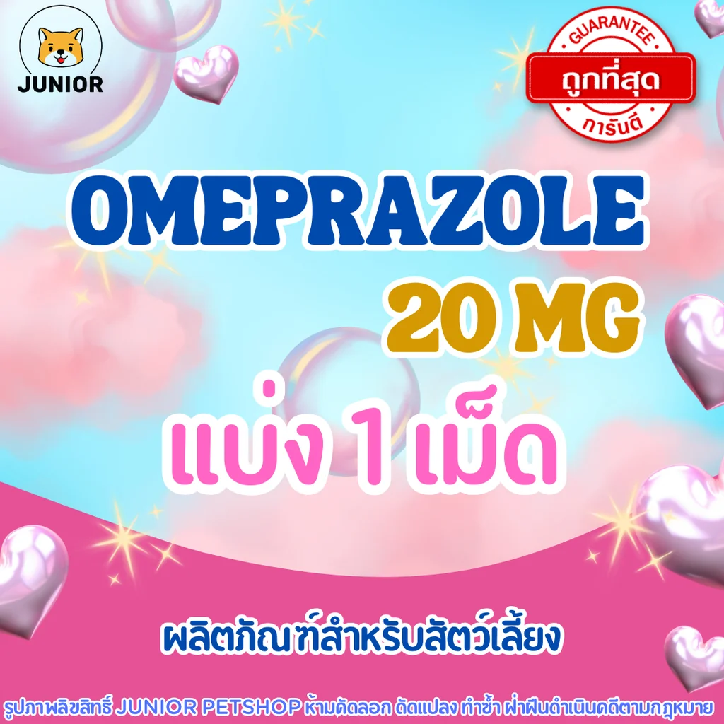 Omeprazole 20mg แบ่ง 1 เม็ด สำหรับสัตว์เลี้ยง Omeprazole 20mg แบ่ง 1 เม็ด สำหรับสัตว์เลี้ยง
