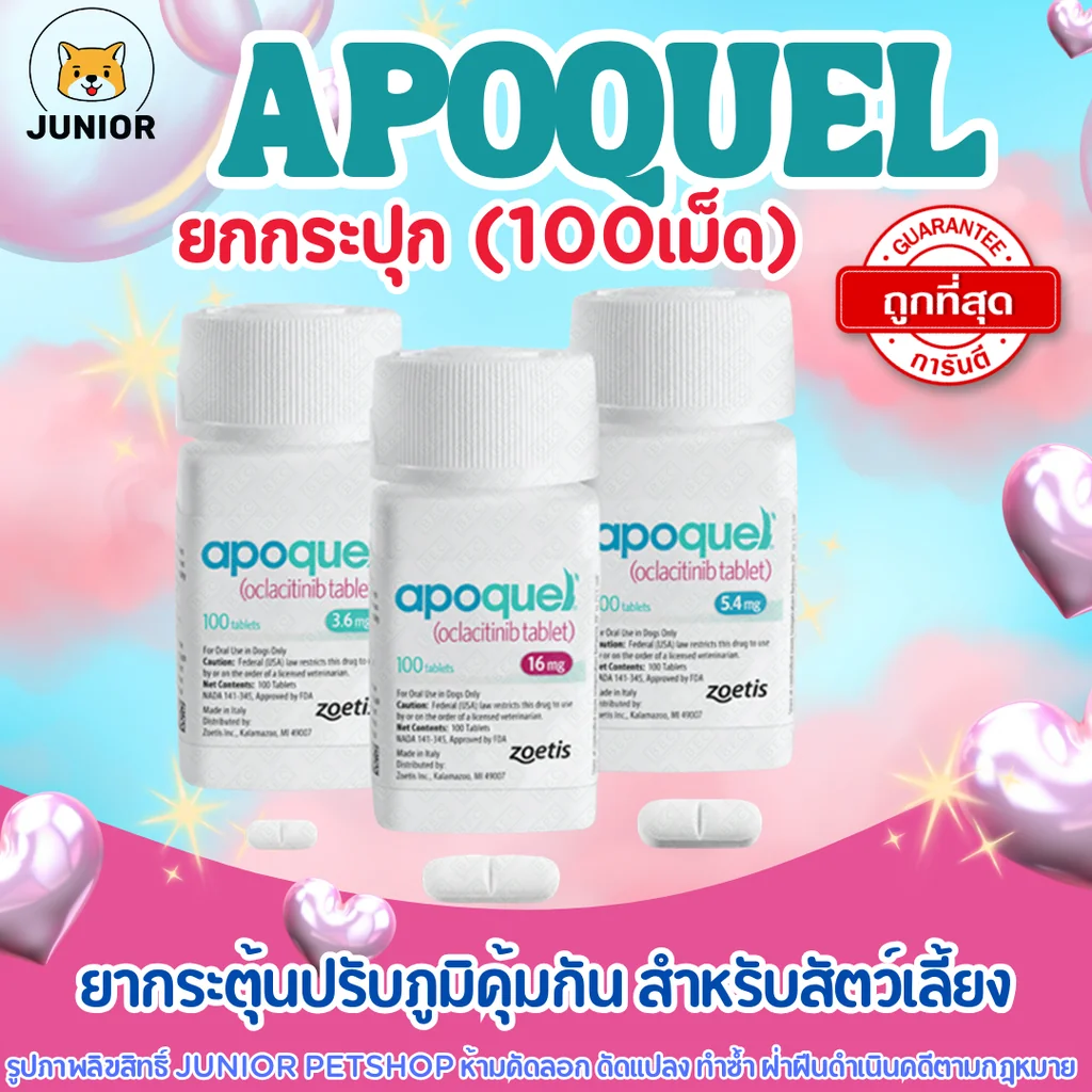 ยกกระปุก! Apoquel ยากระตุ้นภูมิคุ้มกัน ปรับภูมิคุ้มกัน อะโพเควล 100เม็ด ยกกระปุก! Apoquel ยากระตุ้นภูมิคุ้มกัน ปรับภูมิคุ้มกัน อะโพเควล 100เม็ด