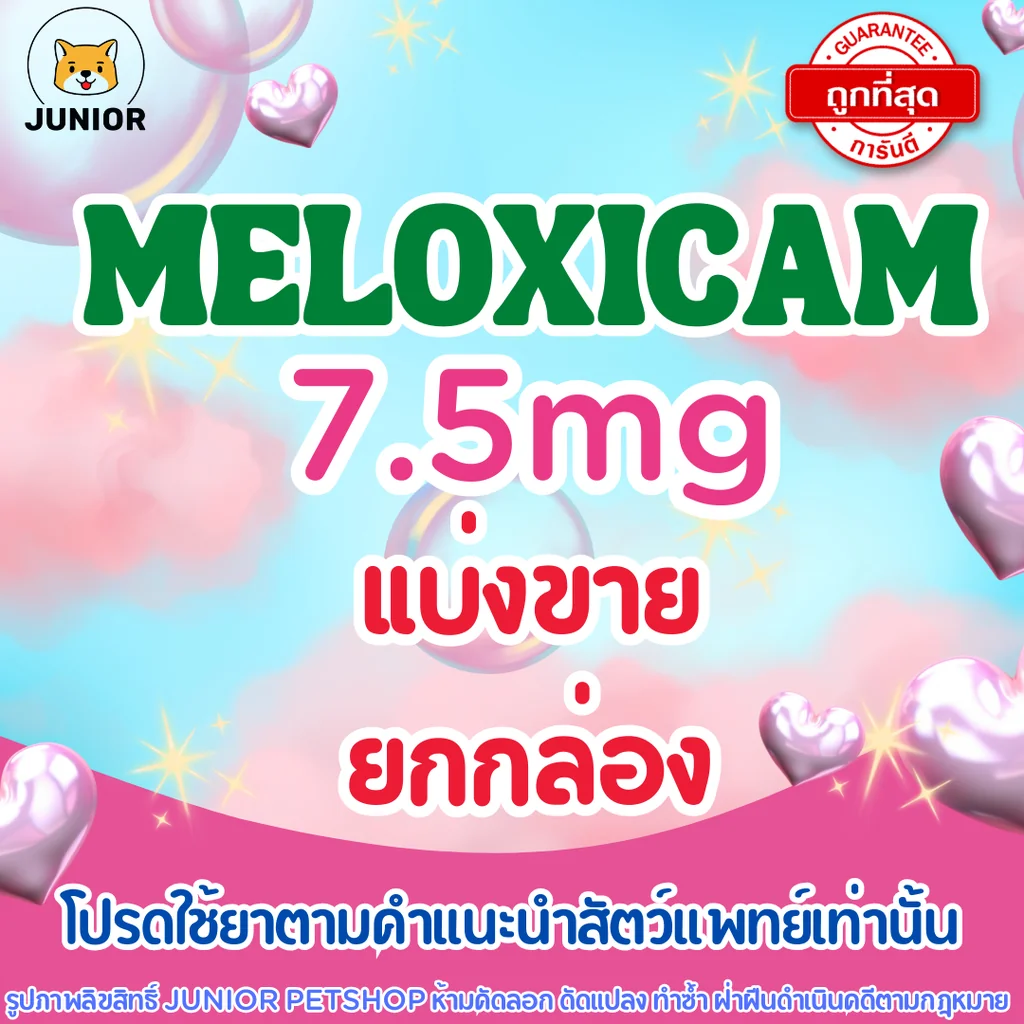 Meloxicam 7.5 mg แบ่งแผง (10เม็ด) ยกกล่อง (100เม็ด) สำหรับสัตว์เลี้ยง Meloxicam 7.5 mg แบ่งแผง (10เม็ด) ยกกล่อง (100เม็ด) สำหรับสัตว์เลี้ยง