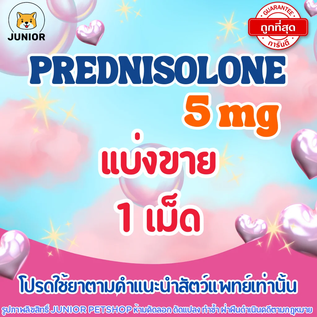 prednisolone 5mg แบ่ง1เม็ด prednisolone 5mg แบ่ง1เม็ด
