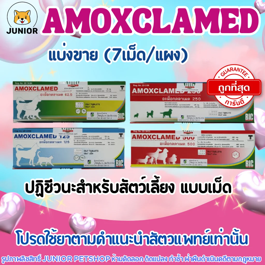 Amoxclamed ทุกขนาด สำหรับสัตว์เลี้ยง แบ่งแผง (7เม็ด) Amoxclamed ทุกขนาด สำหรับสัตว์เลี้ยง แบ่งแผง (7เม็ด)