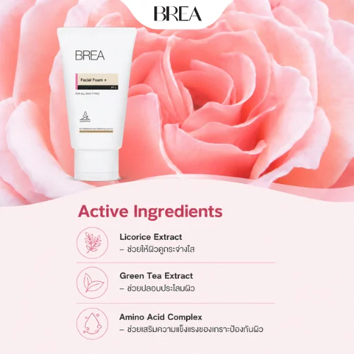 BREA Facial Foam+ For All Skin Types โฟมล้างหน้า สูตรอ่อนโยน สำหรับทุกสภาพผิว เวอร์ชันสั้น (เหมาะกับภาพปก / Artwork) BREA Facial Foam+ For All Skin Types โฟมล้างหน้า สูตรอ่อนโยน สำหรับทุกสภาพผิว เวอร์ชันสั้น (เหมาะกับภาพปก / Artwork)
