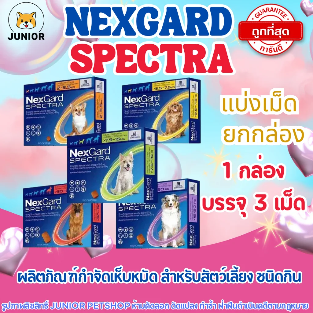 NexGarď Spectra ของแท้! กำจัดเห็บ หมัด ไรหู ขี้เรื้อน พยาธิทางเดินอาหาร พยาธิหนอนหัวใจ สำหรับสุนัข NexGarď Spectra ของแท้! กำจัดเห็บ หมัด ไรหู ขี้เรื้อน พยาธิทางเดินอาหาร พยาธิหนอนหัวใจ สำหรับสุนัข