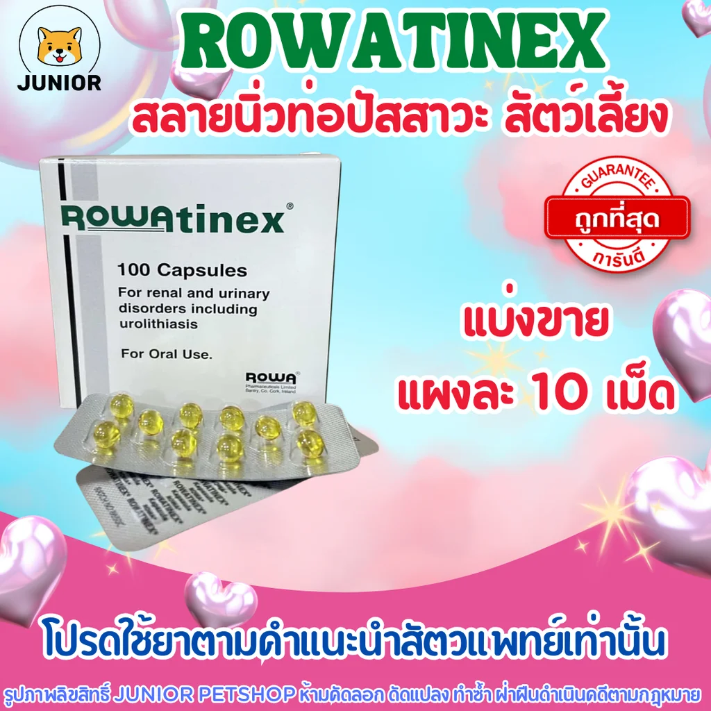 Rowatinex สลายนิ่วของท่อปัสสาวะ แมว สุนัข ลดอักเสบลดปวดเกร็ง ทางเดินปัสสาวะ 1แผงมี10เม็ด Rowatinex สลายนิ่วของท่อปัสสาวะ แมว สุนัข ลดอักเสบลดปวดเกร็ง ทางเดินปัสสาวะ 1แผงมี10เม็ด