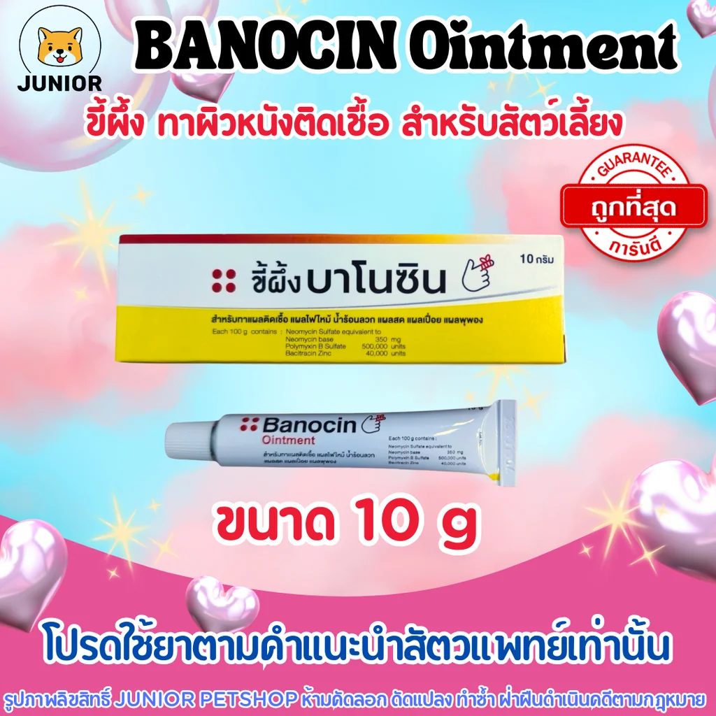 Banocin ขี้ผึ้ง บาโนซิน 10กรัม ยาทาผิวหนังติดเชื้อ Banocin Ointment Banocin ขี้ผึ้ง บาโนซิน 10กรัม ยาทาผิวหนังติดเชื้อ Banocin Ointment