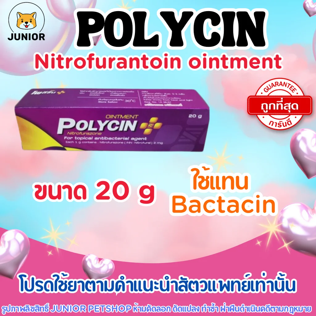 POLYCIN ointment (โพลีซิน ออยเมนต์) ครีมฆ่าเชื้อแบคทีเรีย สำหรับสัตว์เลี้ยง ขนาด 20 กรัม ใช้แทน bactacin