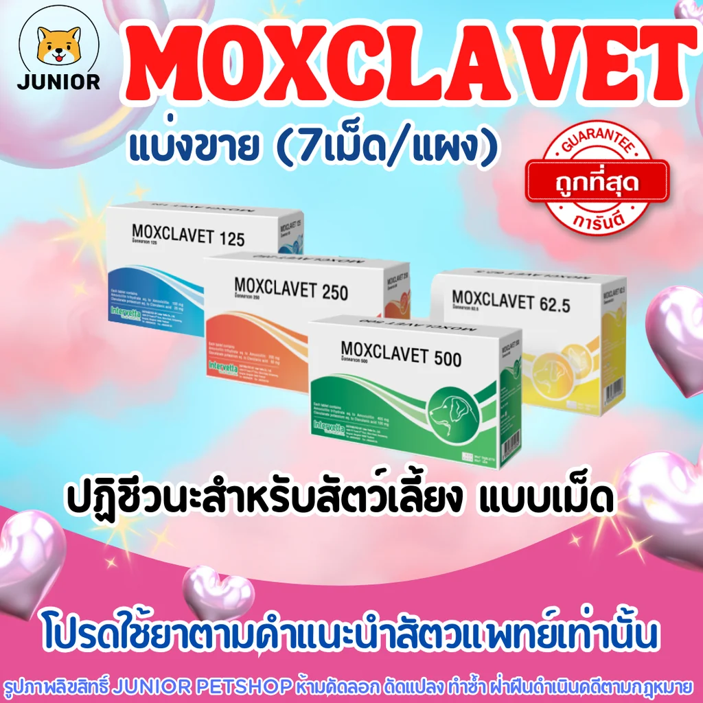 Moxclavet ฆ่าเชื้อสำหรับสุนัขและแมว ขาย 7 เม็ด/แผง Moxclavet ฆ่าเชื้อสำหรับสุนัขและแมว ขาย 7 เม็ด/แผง