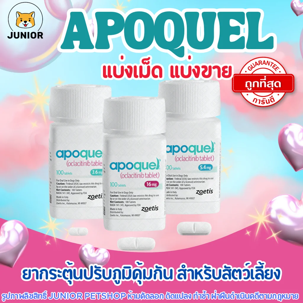 แบ่งเม็ด Apoquel ยากระตุ้นภูมิคุ้มกัน ปรับภูมิคุ้มกัน อะโพเควล แบ่งเม็ด Apoquel ยากระตุ้นภูมิคุ้มกัน ปรับภูมิคุ้มกัน อะโพเควล