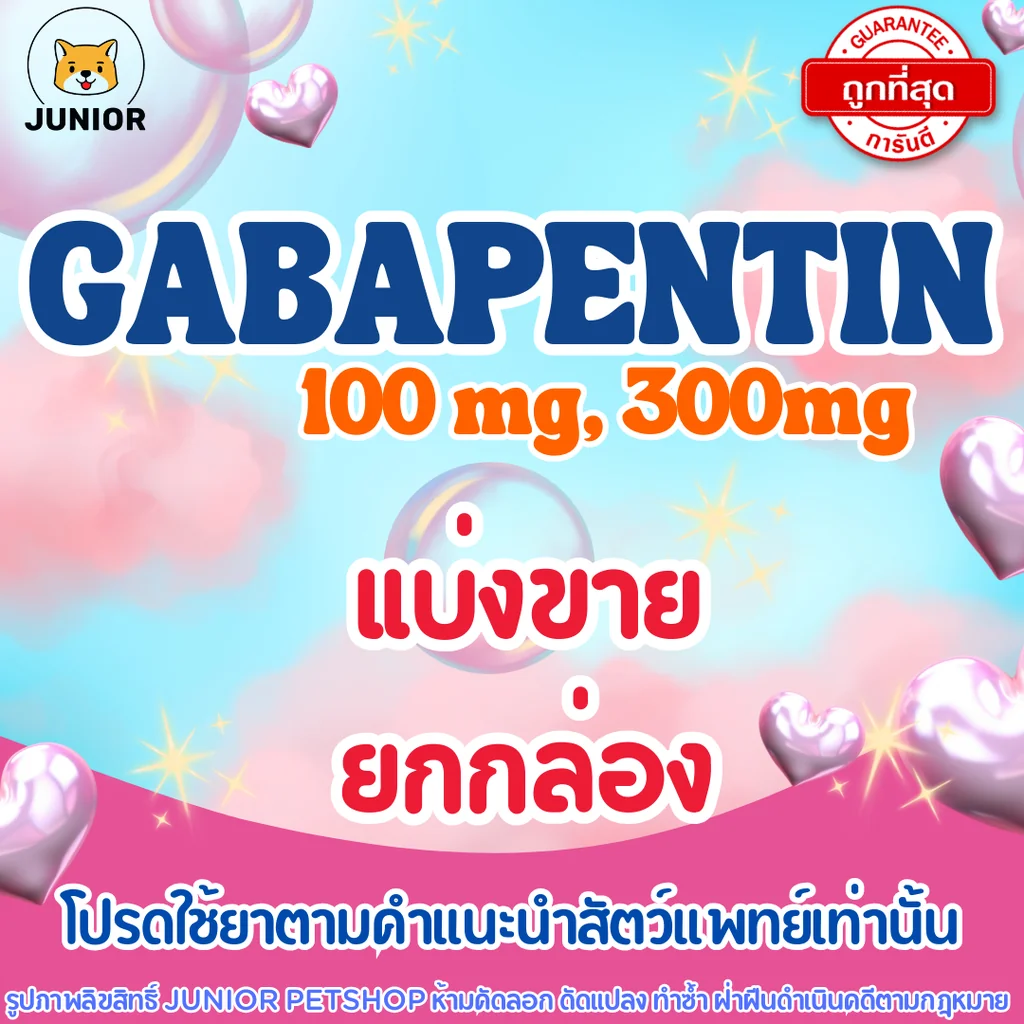 Gabapentin 100mg และ 300mg แบ่งแผง-ยกกล่อง Gabapentin 100mg และ 300mg แบ่งแผง-ยกกล่อง