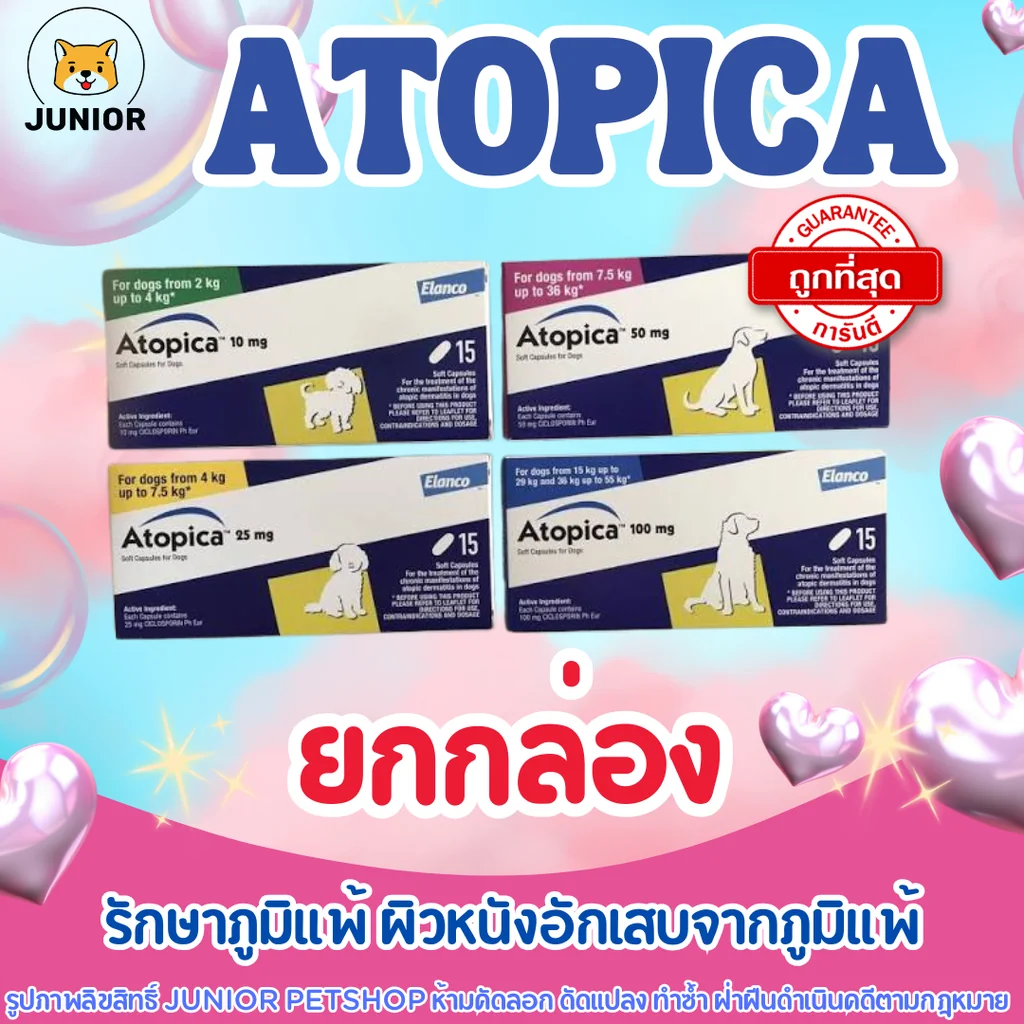 Atopica รักษาภูมิแพ้ มี4 ขนาด10mg, 25mg, 50mg, 100mg (ยกกล่อง) Atopica รักษาภูมิแพ้ มี4 ขนาด10mg, 25mg, 50mg, 100mg (ยกกล่อง)