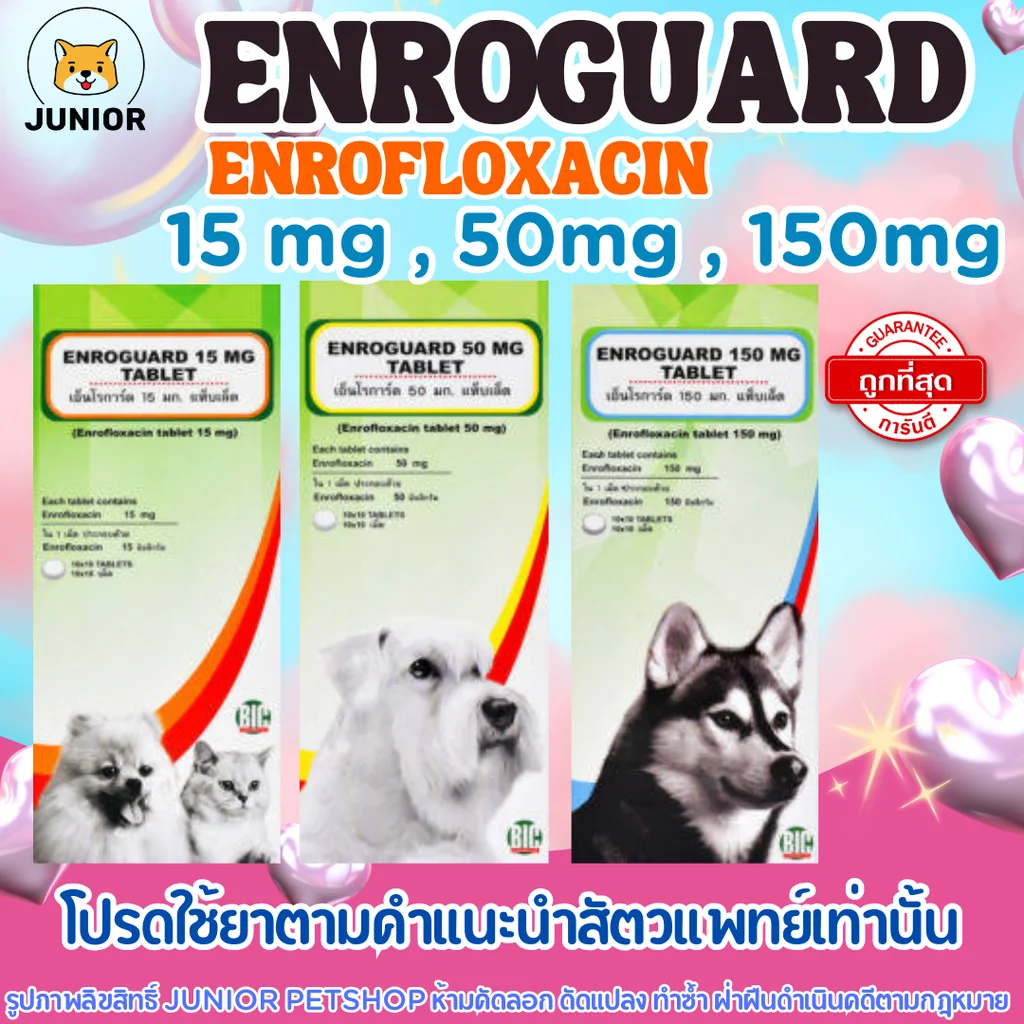 Enroguard (enrofloxacin) 15mg, 50mg, 150mg เอนโรการ์ด 15มก, 50มก, 150มก ขายยกแผง แผงละ 10 เม็ด Enroguard (enrofloxacin) 15mg, 50mg, 150mg เอนโรการ์ด 15มก, 50มก, 150มก ขายยกแผง แผงละ 10 เม็ด