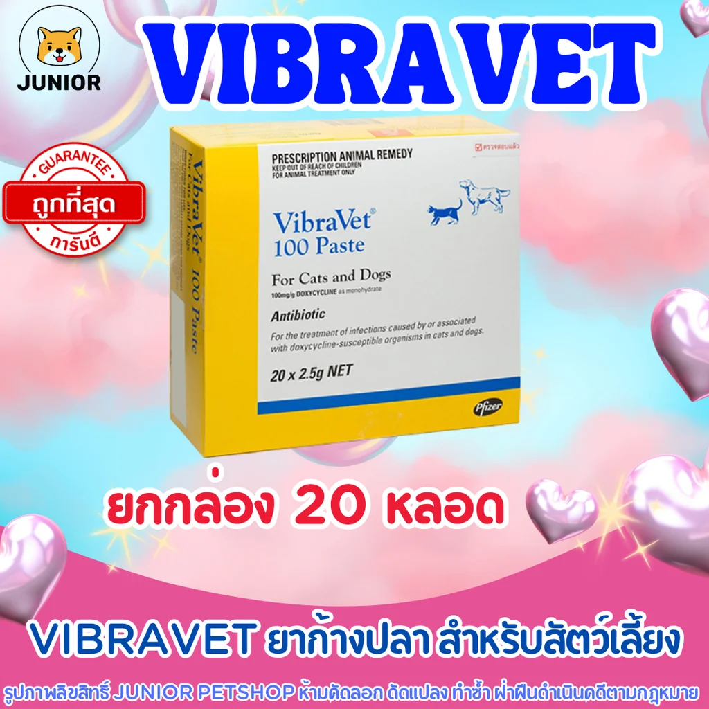 Sale! VibraVet ยกกล่อง!! ไวบร้า เวท ก้างปลา สำหรับสุนัข แมว สัตว์เล็ก