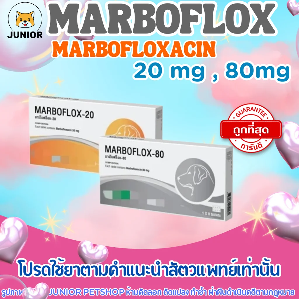 Marboflox 20mg, 80mg มาร์โบฟลอกซ์ 20มก, 80มก (20mg แผงละ 10เม็ด/80mg แผงละ 8เม็ด) Marboflox 20mg, 80mg มาร์โบฟลอกซ์ 20มก, 80มก (20mg แผงละ 10เม็ด/80mg แผงละ 8เม็ด)