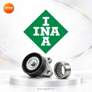 INA