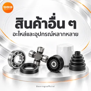 สินค้าเข้าใหม่