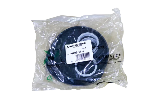 SEAL KIT VITON (1321.100.0.01)