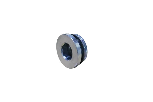 BLANKING SCREW