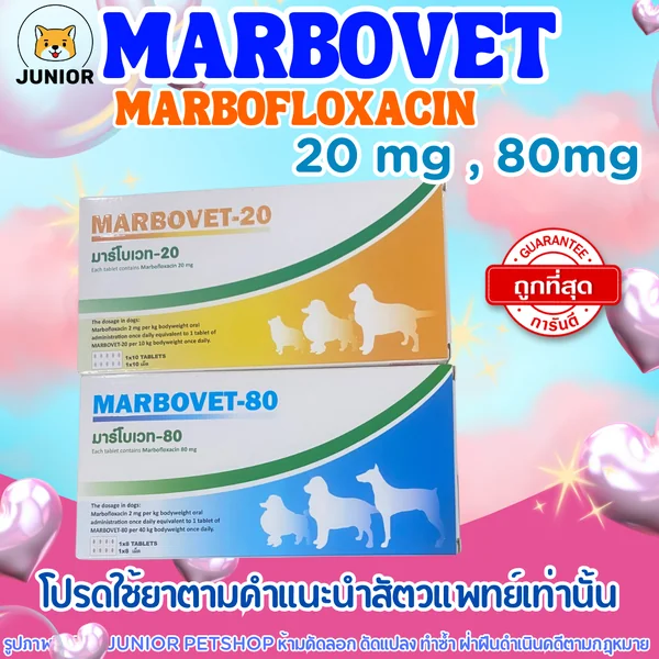 Marbovet-20 (บรรจุ10เม็ด) 80 (บรรจุ8เม็ด) marbocyl สำหรับสุนัข 80มกบรรจุ8เม็ด image 1 Marbovet-20 (บรรจุ10เม็ด) 80 (บรรจุ8เม็ด) marbocyl สำหรับสุนัข 80มกบรรจุ8เม็ด image 1