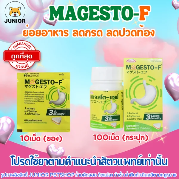 Magesto-F มาเจสโต้ แผง(10เม็ด)-ยกกระปุก (100เม็ด) ช่วยย่อยอาหาร ลดกรด แก้ปวดท้อง image 1 Magesto-F มาเจสโต้ แผง(10เม็ด)-ยกกระปุก (100เม็ด) ช่วยย่อยอาหาร ลดกรด แก้ปวดท้อง image 1