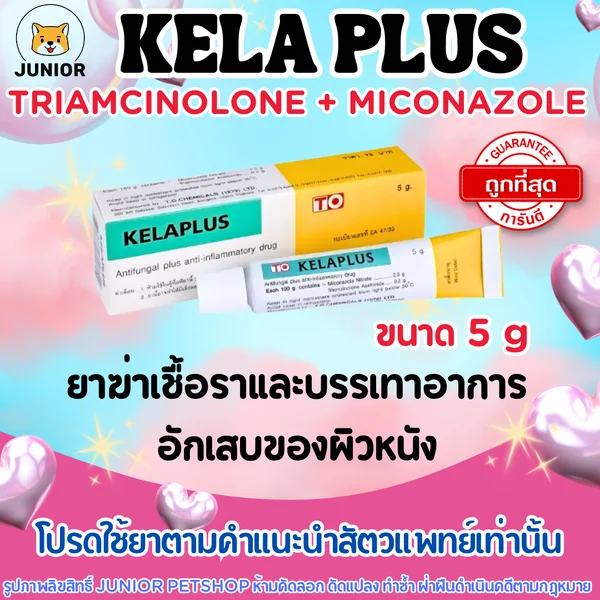 คีล่าพลัส 5กรัม Kela plus cream (TO) Triamcinolone+Miconazole ยาฆ่าเชื้อราและบรรเทาอาการอักเสบของผิวหนัง image 1 คีล่าพลัส 5กรัม Kela plus cream (TO) Triamcinolone+Miconazole ยาฆ่าเชื้อราและบรรเทาอาการอักเสบของผิวหนัง image 1