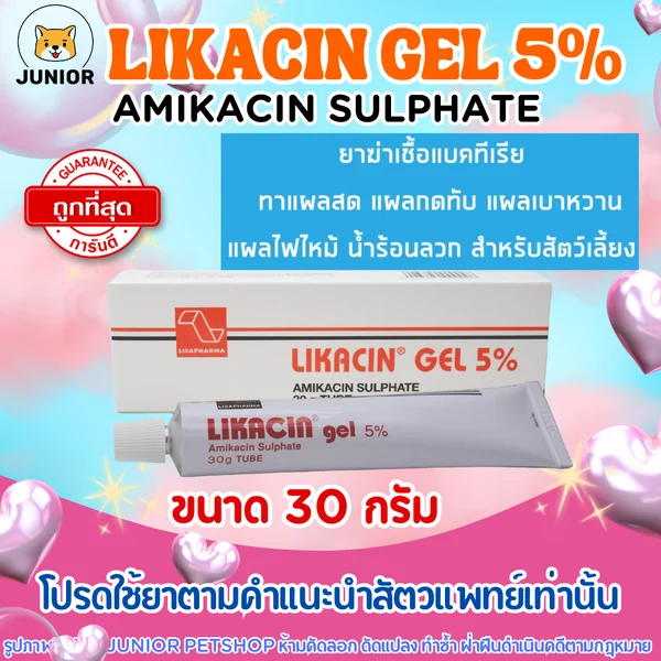 Likacin gel 5% 30 g เจลไลกาซินยาฆ่าเชื้อแบคทีเรีย ทาแผลสด แผลกดทับ แผลเบาหวาน แผลไฟไหม้ น้ำร้อนลวก สำหรับสัตว์เลี้ยง (1 หลอด) image 1 Likacin gel 5% 30 g เจลไลกาซินยาฆ่าเชื้อแบคทีเรีย ทาแผลสด แผลกดทับ แผลเบาหวาน แผลไฟไหม้ น้ำร้อนลวก สำหรับสัตว์เลี้ยง (1 หลอด) image 1