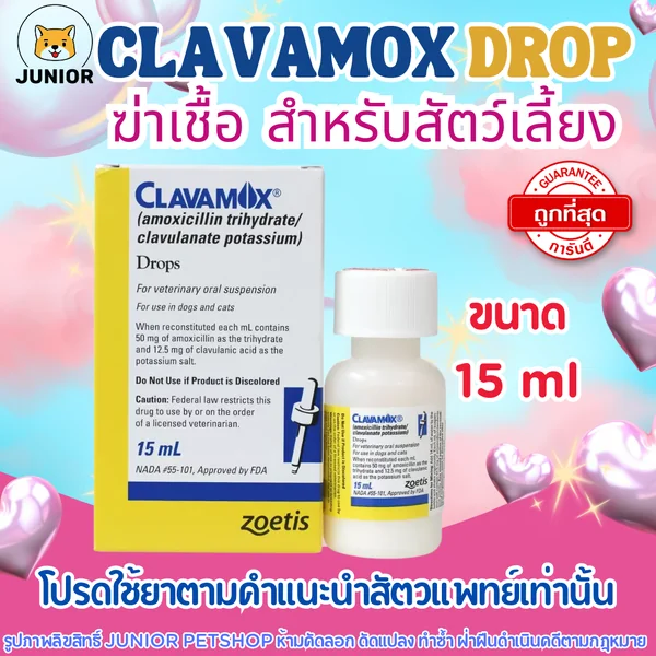 Clavamox drop 15ml. ฆ่าเชื้อ ชนิดผงละลายน้ำสำหรับสุนัขและแมว image 1 Clavamox drop 15ml. ฆ่าเชื้อ ชนิดผงละลายน้ำสำหรับสุนัขและแมว image 1