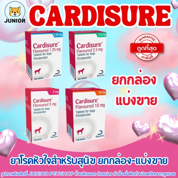 Cardisurė (Pimobendaη) คาร์ดิชัวร์ สำหรับสุนัขที่มีปัญหาโรคหัวใจ image 1 Cardisurė (Pimobendaη) คาร์ดิชัวร์ สำหรับสุนัขที่มีปัญหาโรคหัวใจ image 1