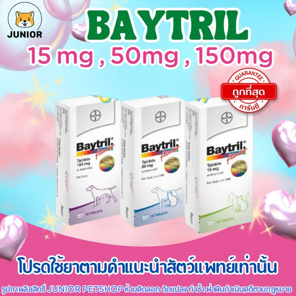 Baytril 15, 50, 150 mg ไบทริล ขายยกแผง แผงละ10เม็ด 150 mg image 1 Baytril 15, 50, 150 mg ไบทริล ขายยกแผง แผงละ10เม็ด 150 mg image 1