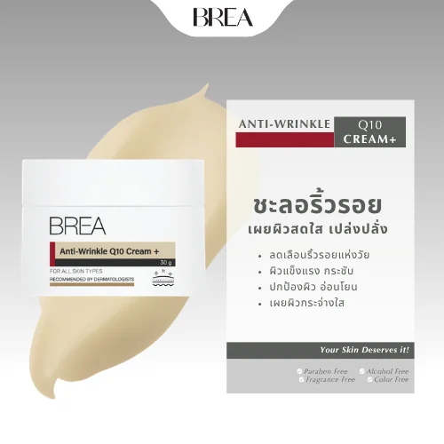 BREA Anti-Wrinkle Q10 Cream+ ครีมบำรุงผิวหน้า Coenzyme Q10 ช่วยลดเลือนริ้วรอย เติมความชุ่มชื้นให้ผิว image 1 BREA Anti-Wrinkle Q10 Cream+ ครีมบำรุงผิวหน้า Coenzyme Q10 ช่วยลดเลือนริ้วรอย เติมความชุ่มชื้นให้ผิว image 1