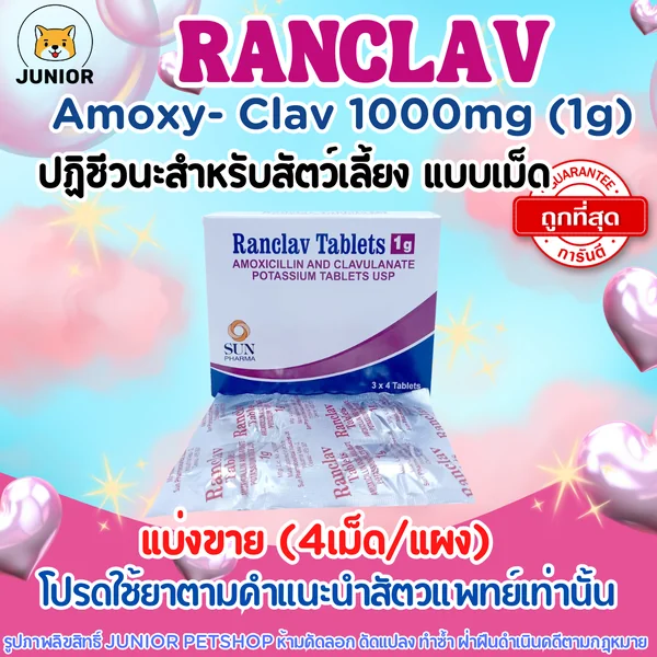 Ranclav 1g (Amoxycillin-Clavulanic 1g) สำหรับสัตว์เลี้ยง แบ่งเม็ด-ยกแผง image 1 Ranclav 1g (Amoxycillin-Clavulanic 1g) สำหรับสัตว์เลี้ยง แบ่งเม็ด-ยกแผง image 1