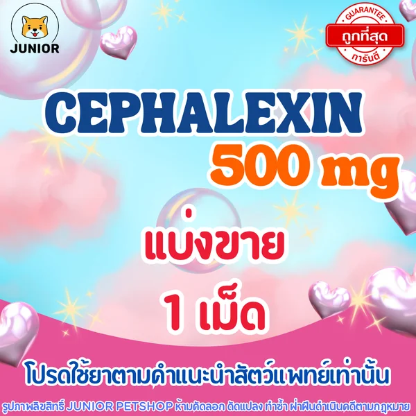 Cephalexin 500mg สำหรับสัตว์เลี้ยง image 1 Cephalexin 500mg สำหรับสัตว์เลี้ยง image 1