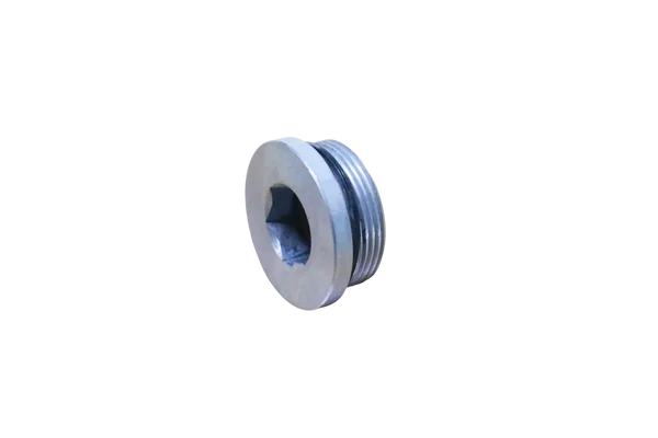 BLANKING SCREW