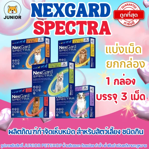 NexGarď Spectra ของแท้! กำจัดเห็บ หมัด ไรหู ขี้เรื้อน พยาธิทางเดินอาหาร พยาธิหนอนหัวใจ สำหรับสุนัข image 1 NexGarď Spectra ของแท้! กำจัดเห็บ หมัด ไรหู ขี้เรื้อน พยาธิทางเดินอาหาร พยาธิหนอนหัวใจ สำหรับสุนัข image 1