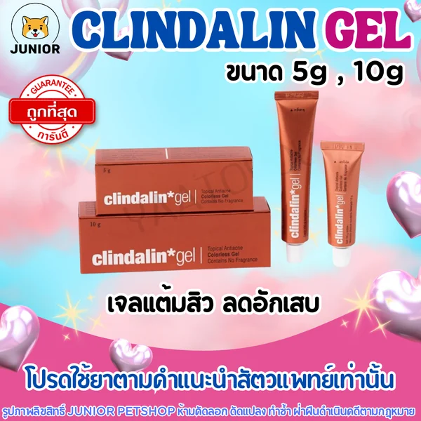 คลินดาลิน เจล ขนาด5กรัม และ 10กรัม. CLINDALIN GEL 5g./10g. image 1 คลินดาลิน เจล ขนาด5กรัม และ 10กรัม. CLINDALIN GEL 5g./10g. image 1