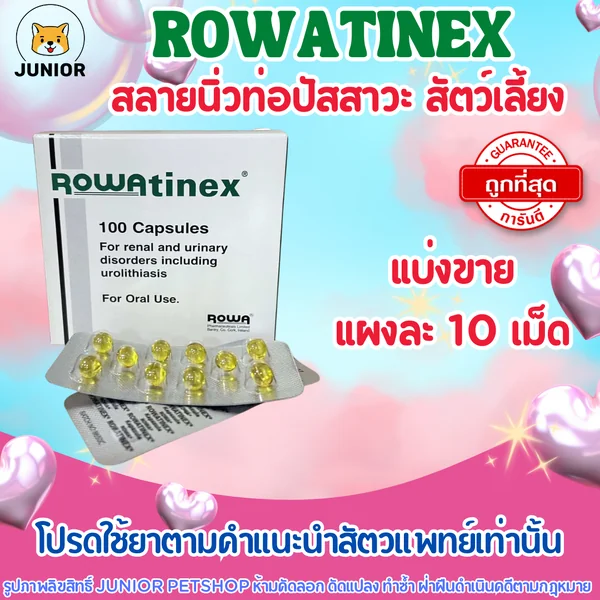 Rowatinex สลายนิ่วของท่อปัสสาวะ แมว สุนัข ลดอักเสบลดปวดเกร็ง ทางเดินปัสสาวะ 1แผงมี10เม็ด image 1 Rowatinex สลายนิ่วของท่อปัสสาวะ แมว สุนัข ลดอักเสบลดปวดเกร็ง ทางเดินปัสสาวะ 1แผงมี10เม็ด image 1