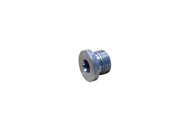 BLANKING SCREW