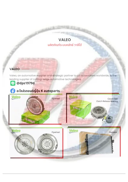 Banner VALEO